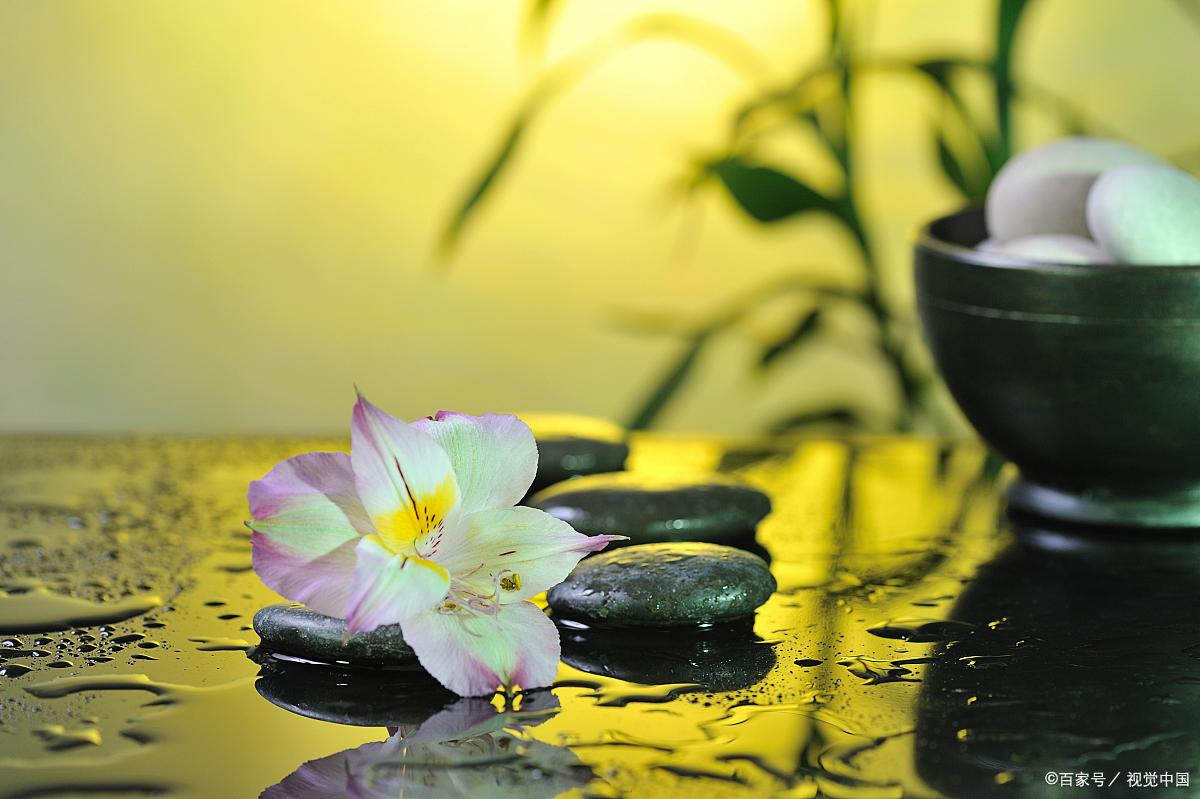 喜好热闹是人之本性,也许又不是一样的